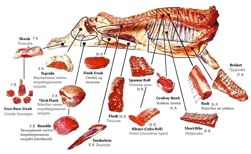 Как выбирать говядину? Схема разделки туши