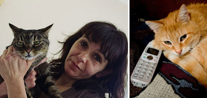 Слева: Марлин. Справа: Томми. Источник: www.google.com