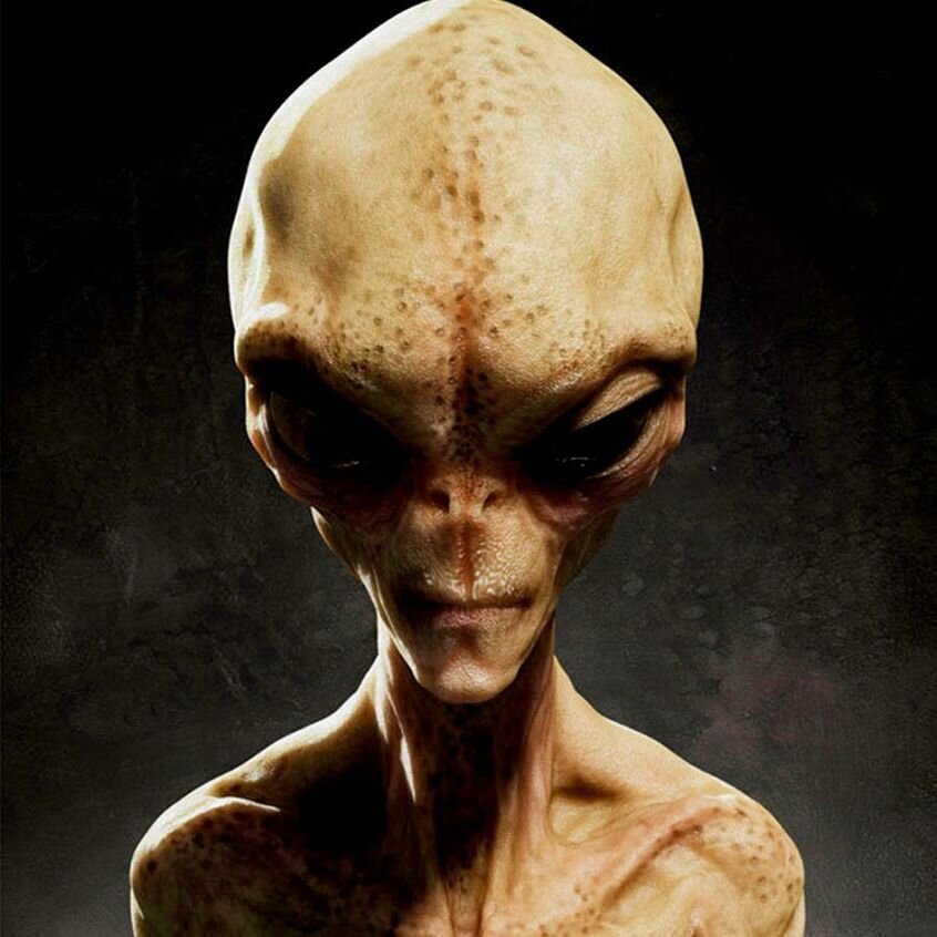 Изображение взято из свободных источников