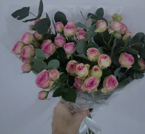 Эта роза не завяла и не пожухла. Она в порядке!