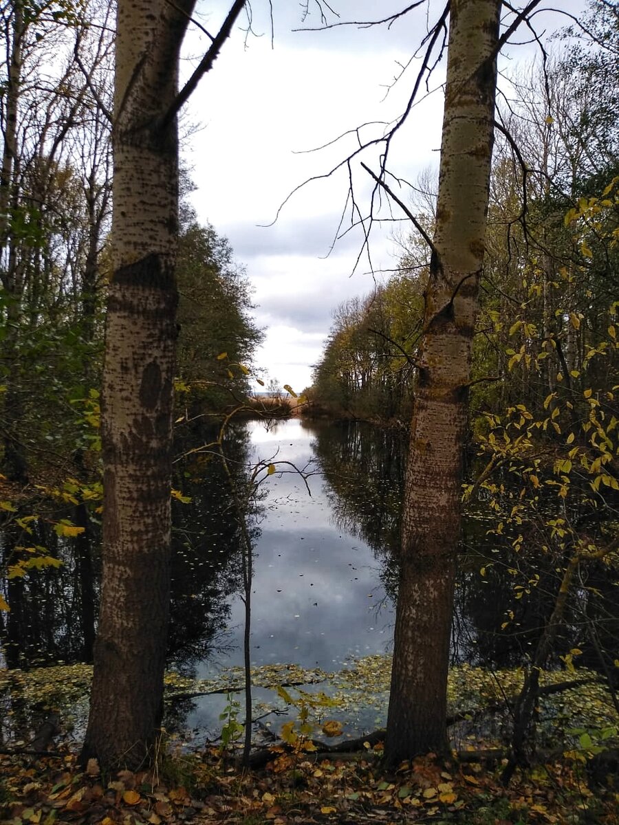 Природа на экотропе.