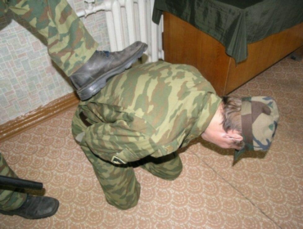 Фото из свободных источников сети Интернет