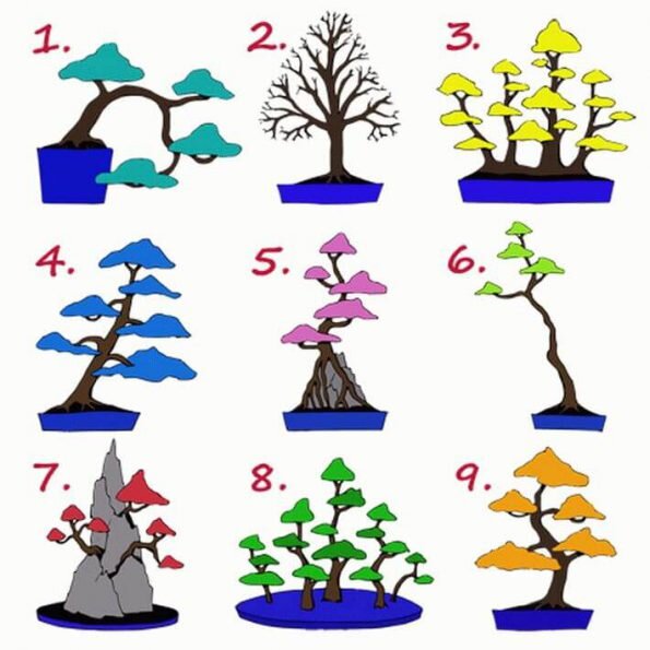 Выбираем дерево 