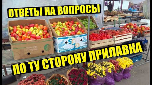 Всё! о рыночной торговле в одном видео