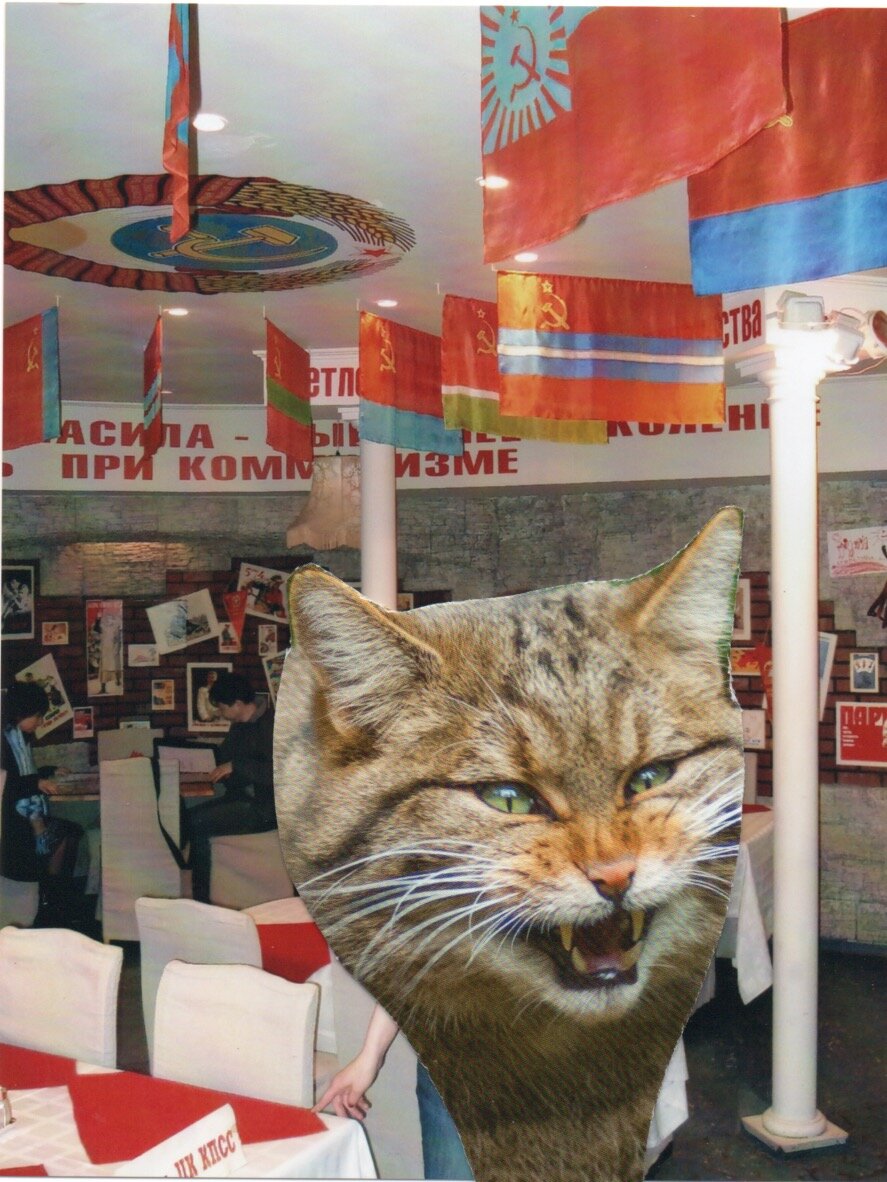 котики и в СССР были отпад!