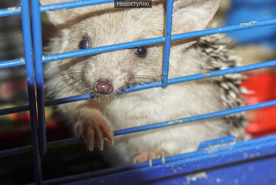 Уже окрепший после лечения