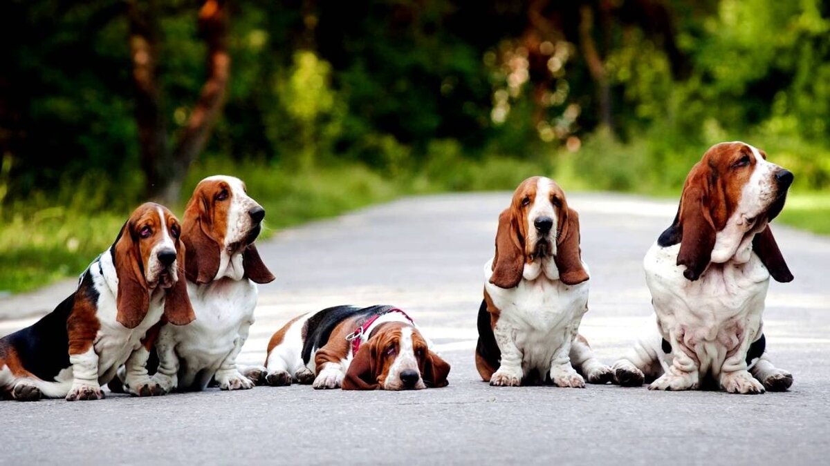 Вот они, красавчики.