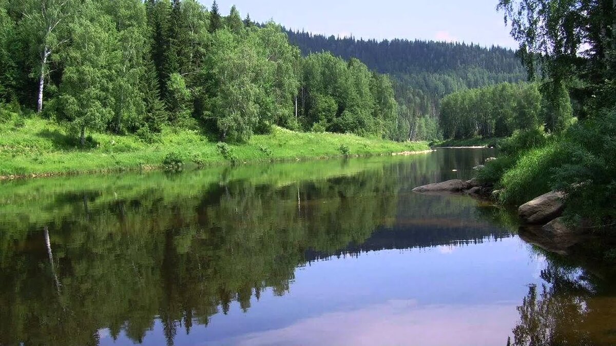 Река обнора. Псковская область лесная речушка. Песня лес да река. Круг лес да река. Круг лес да река.