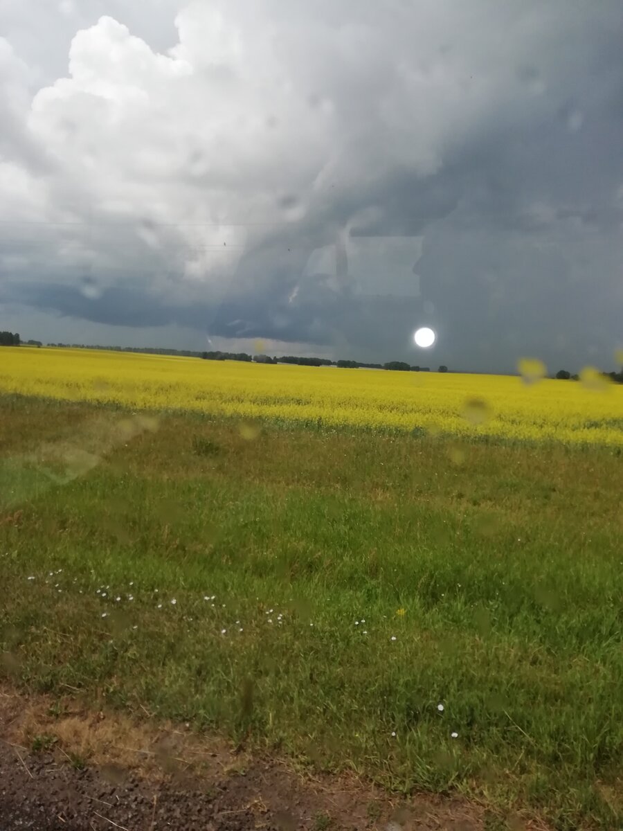 Пасмурно