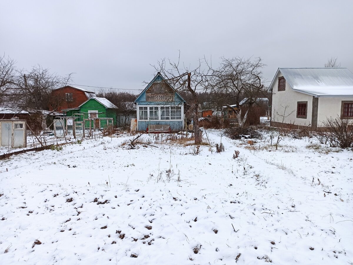 Татьянин День, зимние дела на даче, планирование нового дачного сезона.