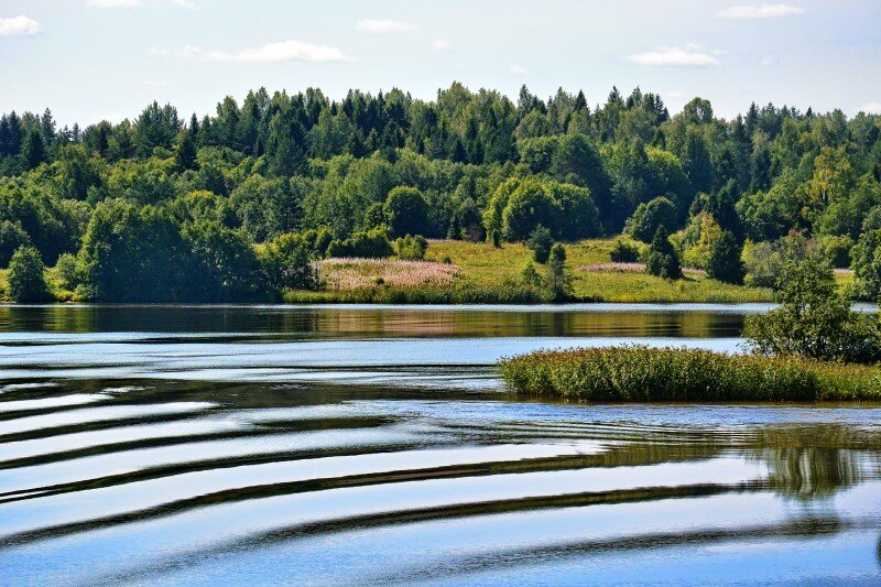 Река Шексна