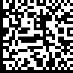 Вот и пасхалка в "Datamatrix"