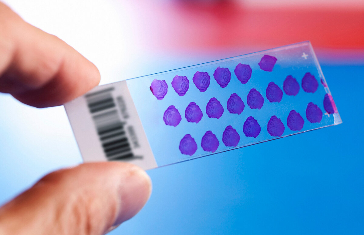 © WLADIMIR BULGAR/GETTYIMAGES.COM