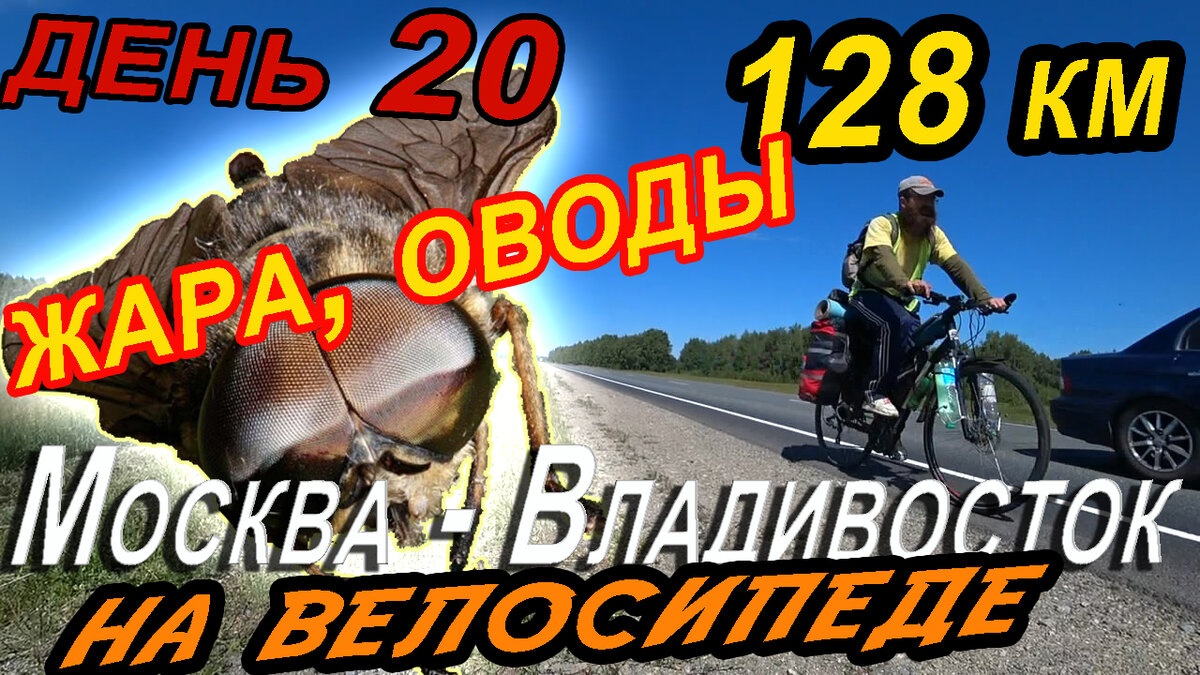 20 день. Дорога путешествие. Бердюжье. На велосипеде на дальняк  Москва–Владивосток, ЛУЧШЕ КОМАРЫ ИЛИ ОВОДЫ? | ЕДУнов по России на  велосипеде | Дзен