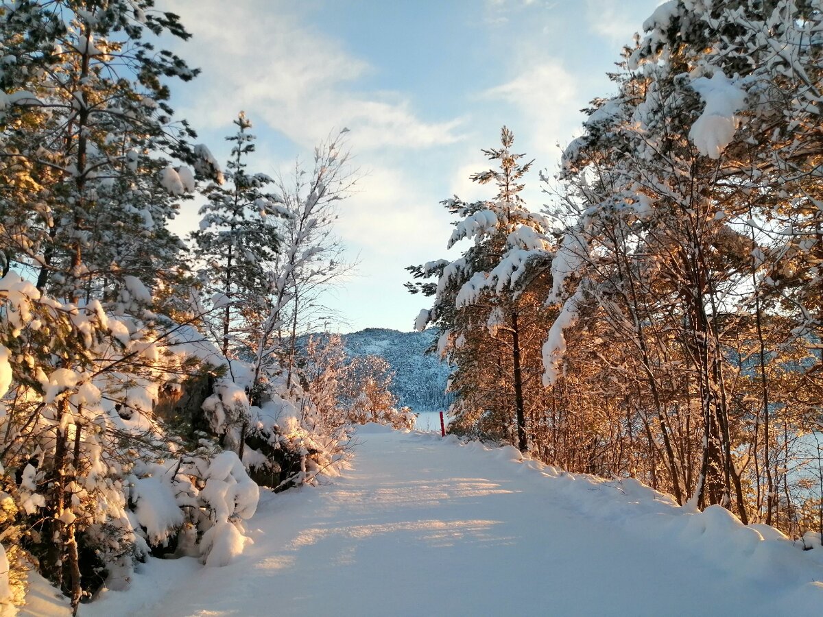 Берег Волчьего озера. Фото автора.