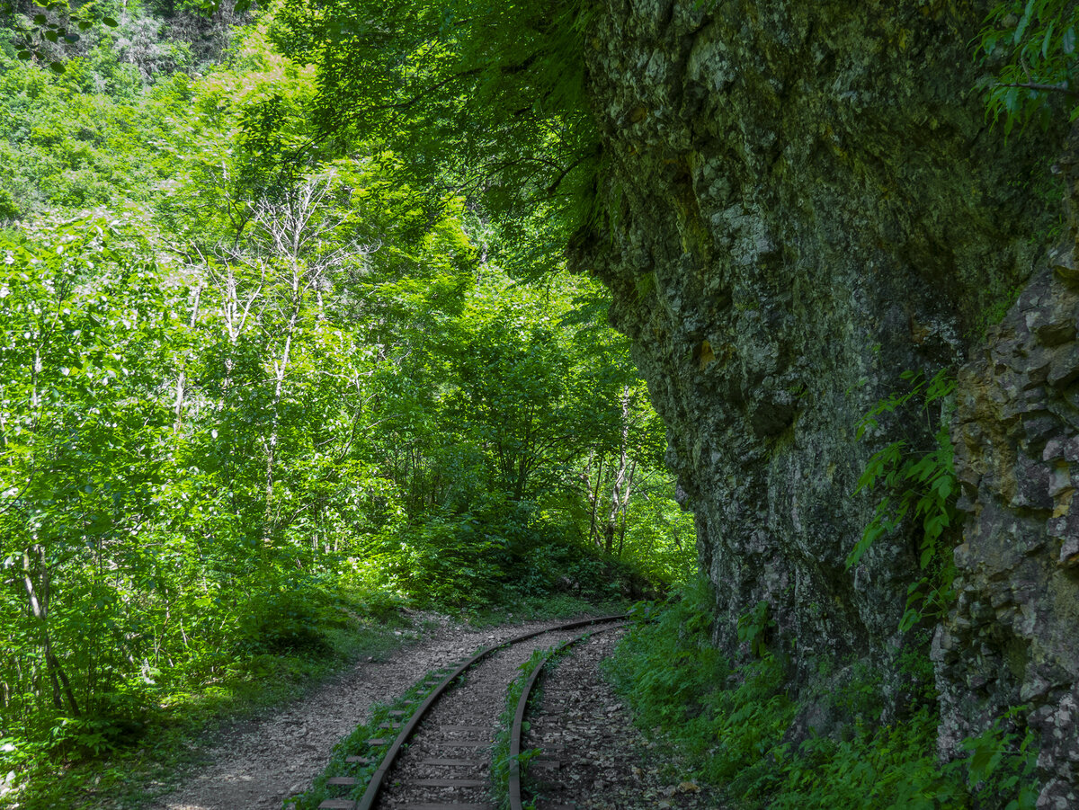 Гуамка грин парк фото