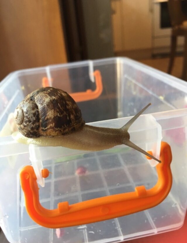 Личное фото