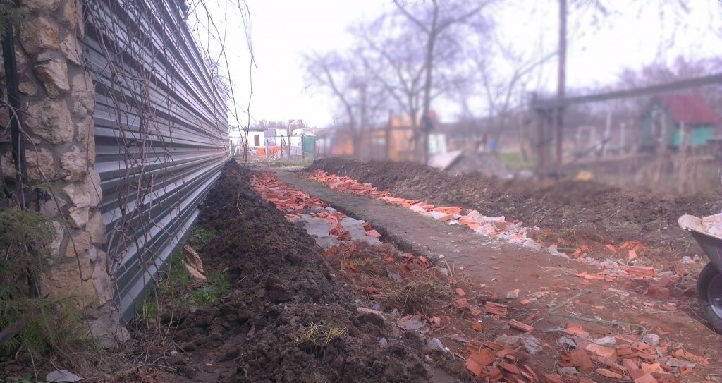 Фото из домашнего архива. Весна 2016 г. Размещение фото без согласия автора - запрещено