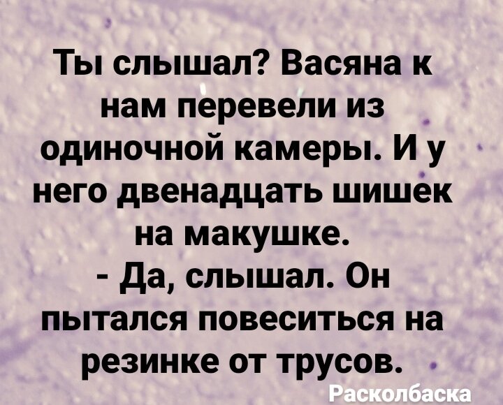 анекдот про тюрьму теперь я здесь петух | Дзен