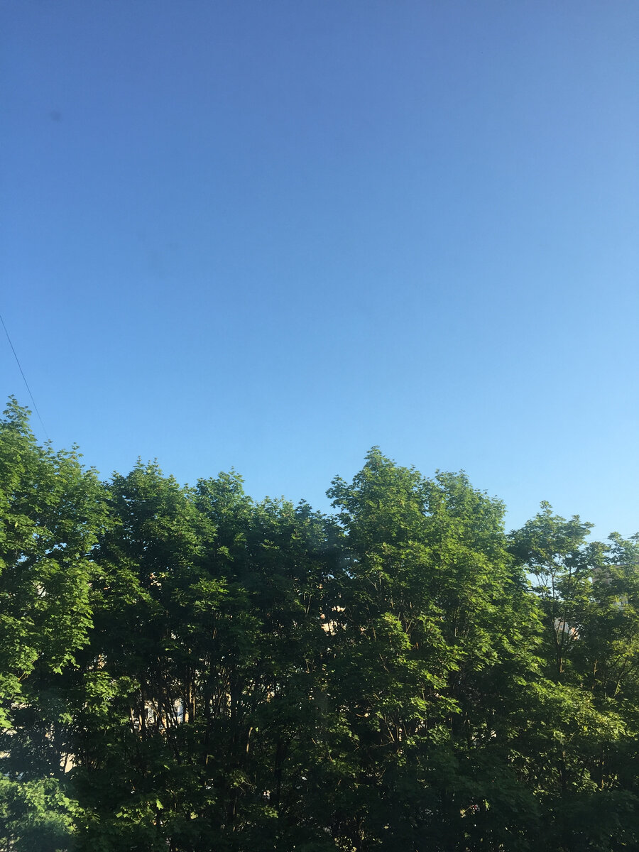 На небе ни облачка, такое вот сегодня небо