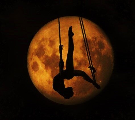 фото из открытых источников интернета