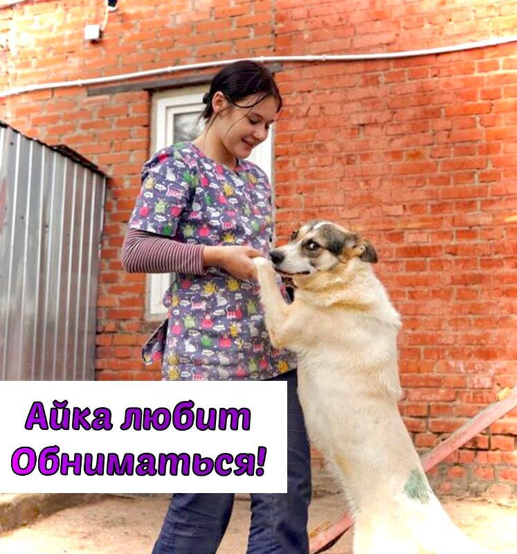 Айка любит обниматься с нашими волонтерами 