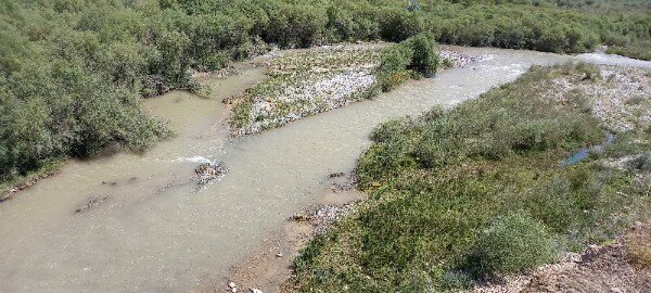 В таких местах может быть золото? Можно ли по фотографии определить, есть золото в реке или нет? 