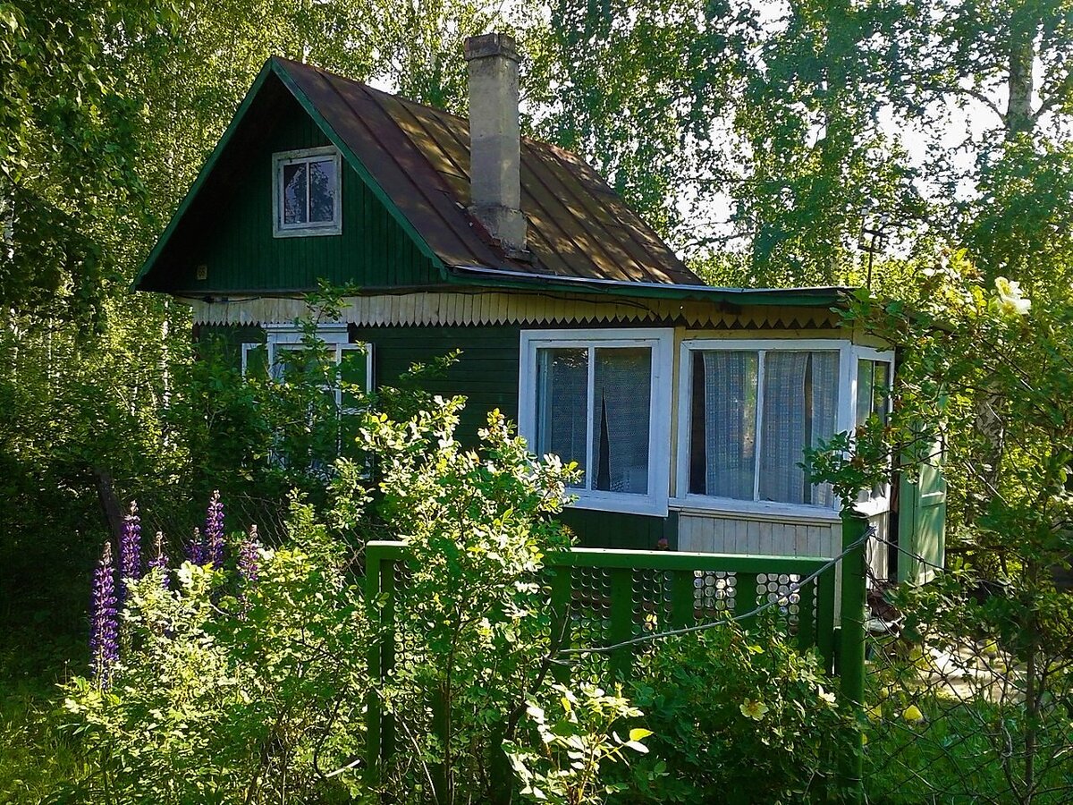 Dacha, загадочный магнит для русской души: дачники от петровских времён до  наших дней | ГалопомПоЕвропам | Дзен