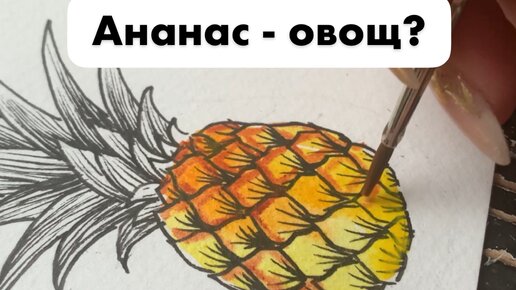 Дзен или этот овощ или я. Дзен или этот овощ или я. Дзен или этот овощ или я. Спокойствие и умиротворение. Дзен или этот овощ или я.