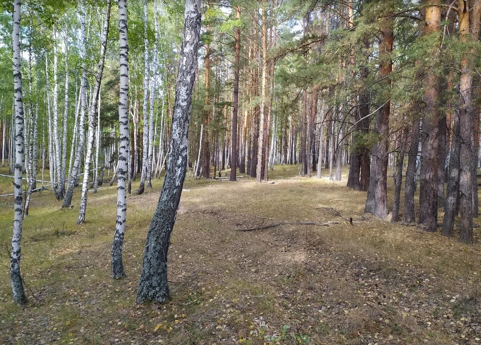 Нашел место с высоким уровнем природной красоты0