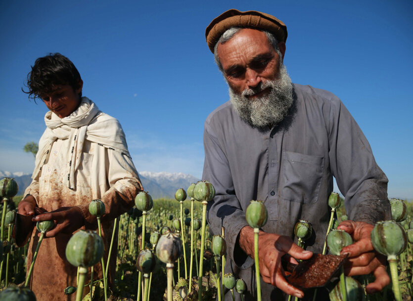 Фото: Ghulamullah Habibi / EPA / TAS