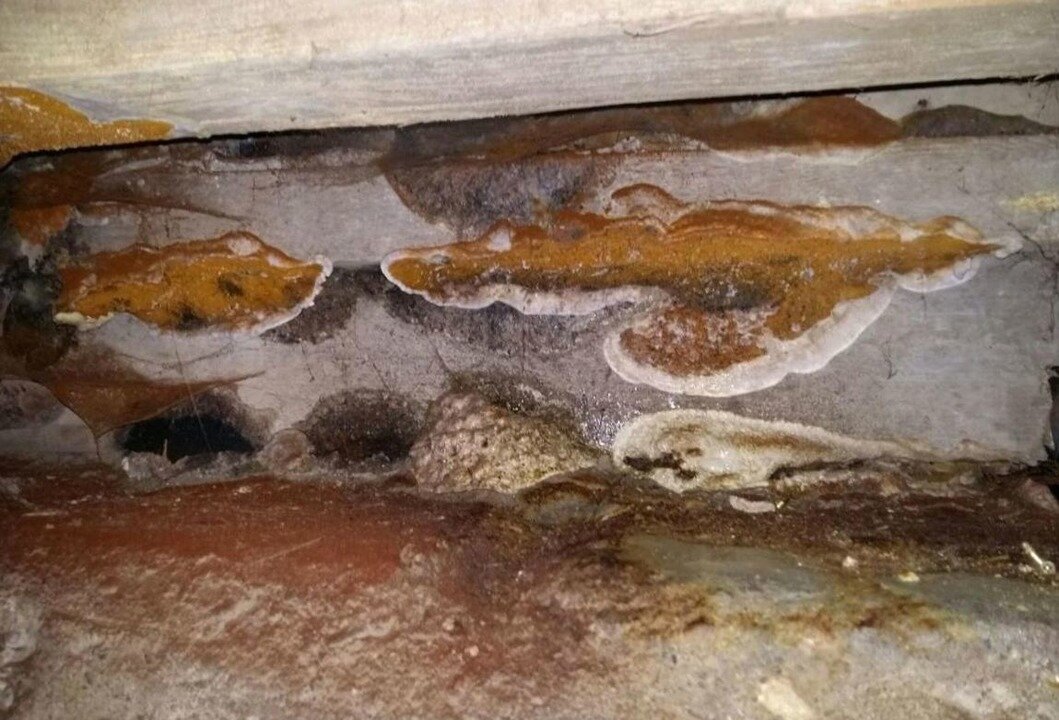 Последствия не утепленного фундамента