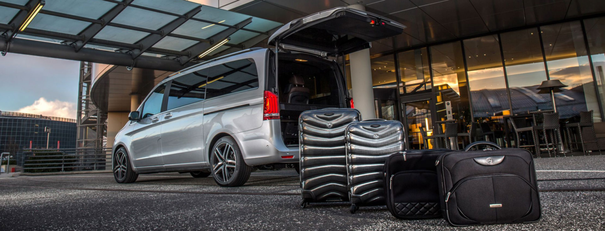 фото из интернет-источника