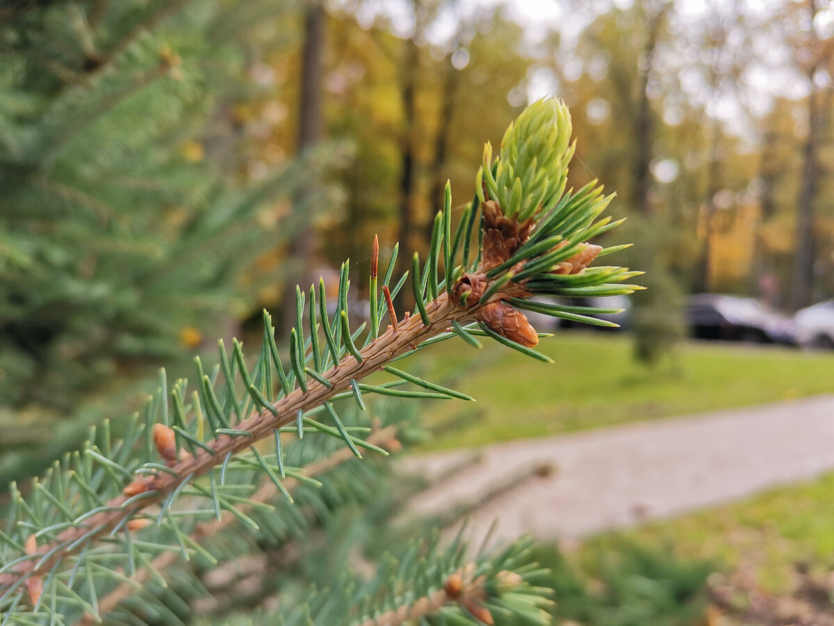 Фото автора канала