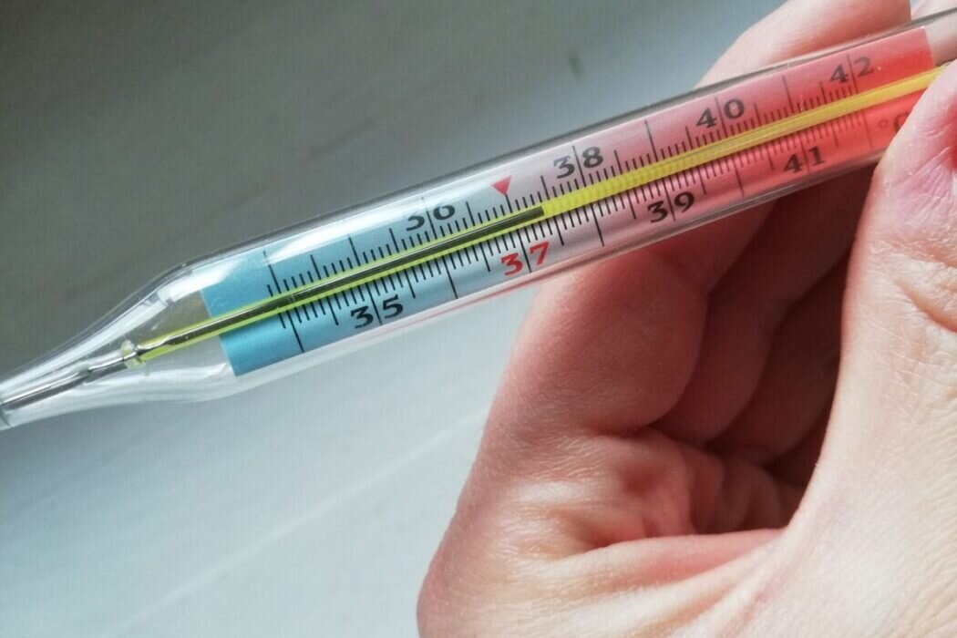 Источник изображения: orengrad.ru 