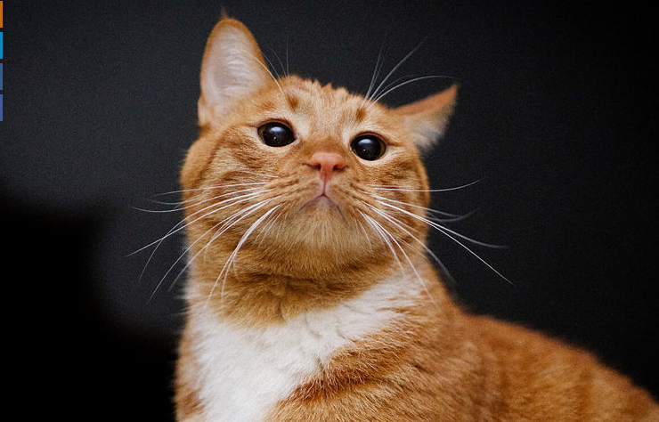 Фото из интернета для иллюстрации