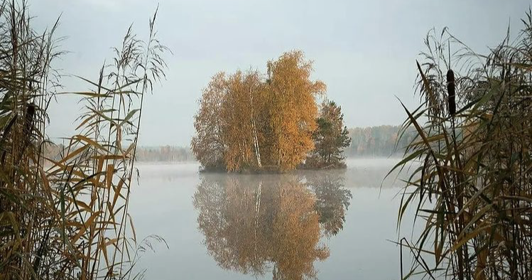 Так приблизительно думает мудрец.  Или не думает. Кто знает? Это глупый свое время доживает, а мудрый готовится к следующей жизни. А как он к ней готовится? Что-то изучает?