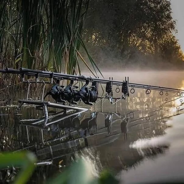 фото из свободного пространства