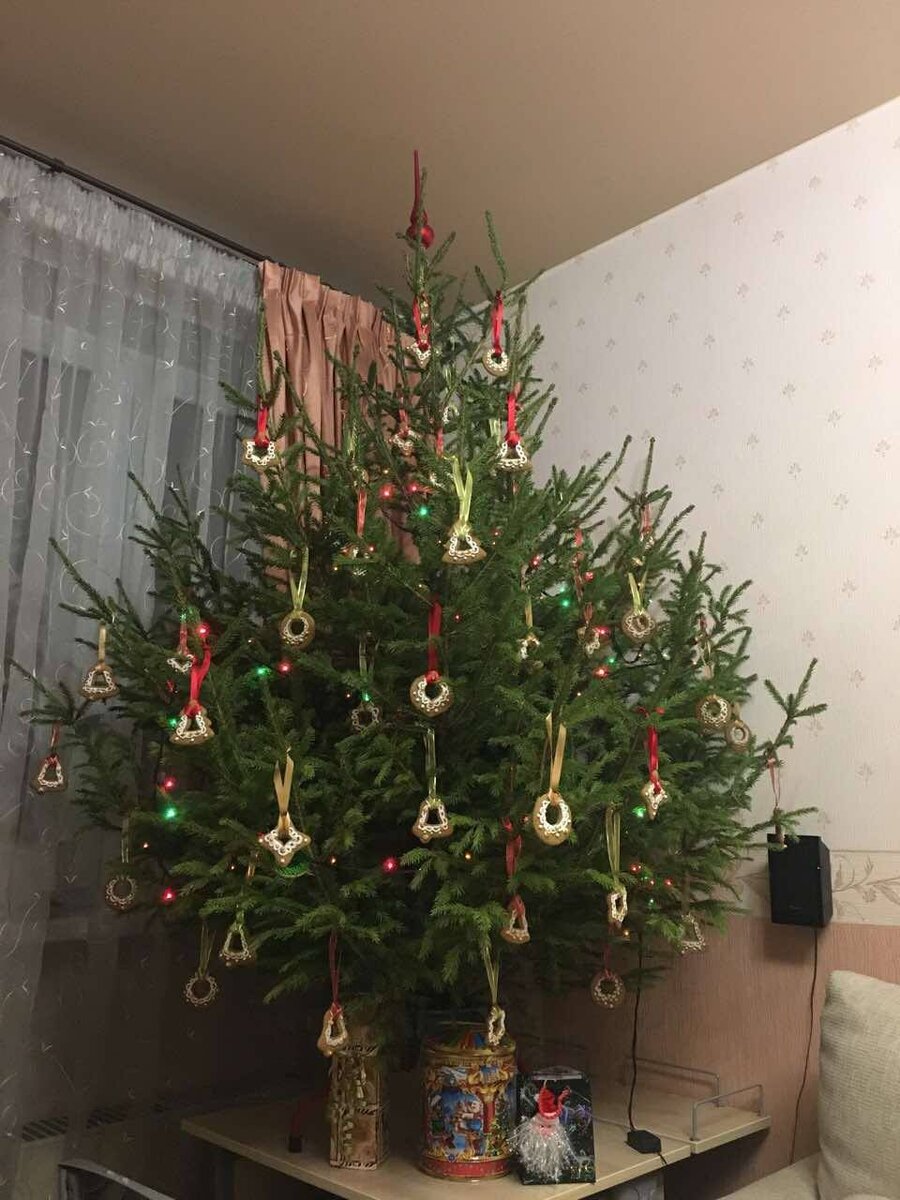 Моя первая ёлка с печеньем (кроме печенья на ёлке ещё гирлянды с лампочками и стеклянная макушка). 31 декабря 2016. Фото автора
