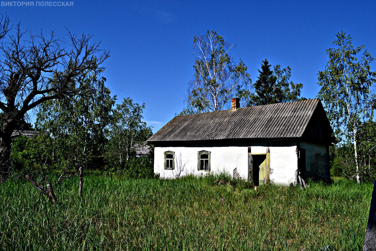 Заброшенное село Рудня-Вересня и давно опустевшие дома | Исследователь  Войтек | Дзен