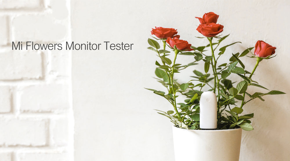 Картинка со страницы магазина на AliExpress.