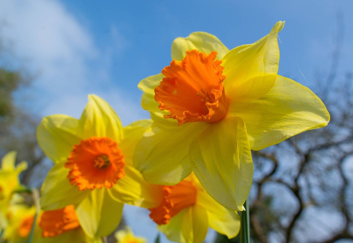 Так получилось, что  в одну статью вся анонсированная информация не вошла. Бонусом будет вторая статья. Ссылка на неё - в конце данной публикации. А что касается фото, то данная красота с pixabay.com. У меня такой нет. Пока нет )) 