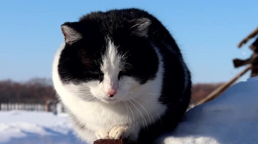 ЖИЗНЬ ПРОСТЫХ ЛЮДЕЙ В ДЕРЕВНЕ, ПОДГОТОВКА К РЕМОНТУ КУХНИ В САМОМ РАЗГАРЕ!