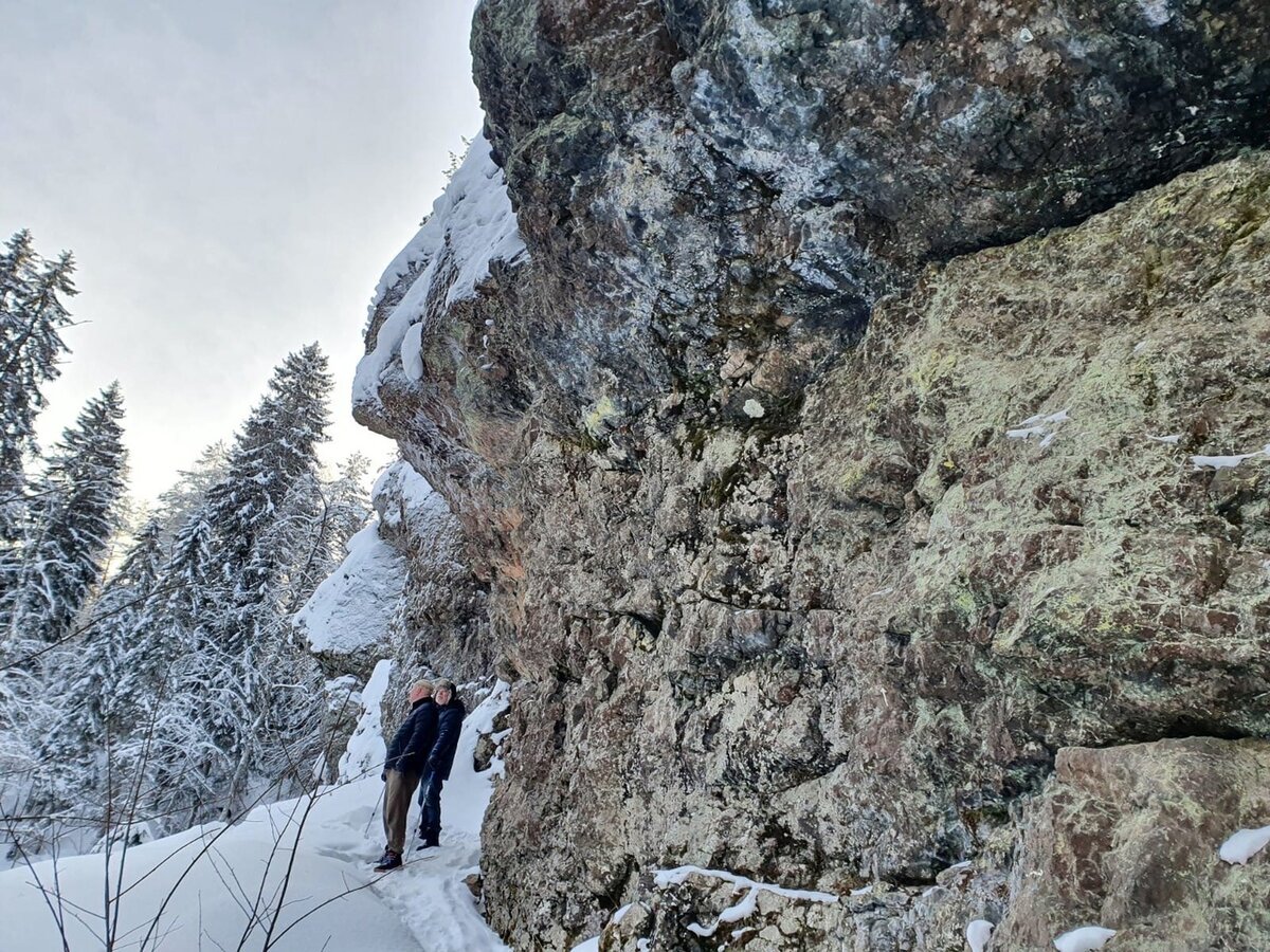 Фото: Александр Тихий 