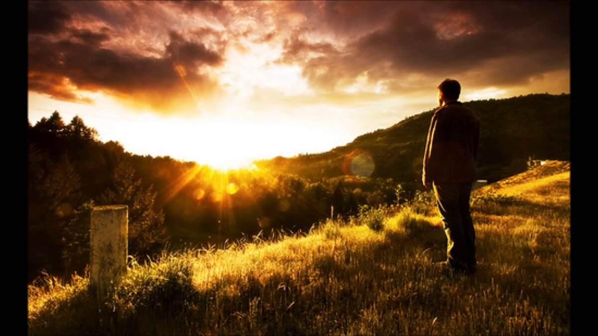 Светская жизнь вуди аллен кадры. Жизнь впереди фильм. Жить жизнь фрагмент. Собачья жизнь фильм 2017. Лана паррия и джаред гилмор.