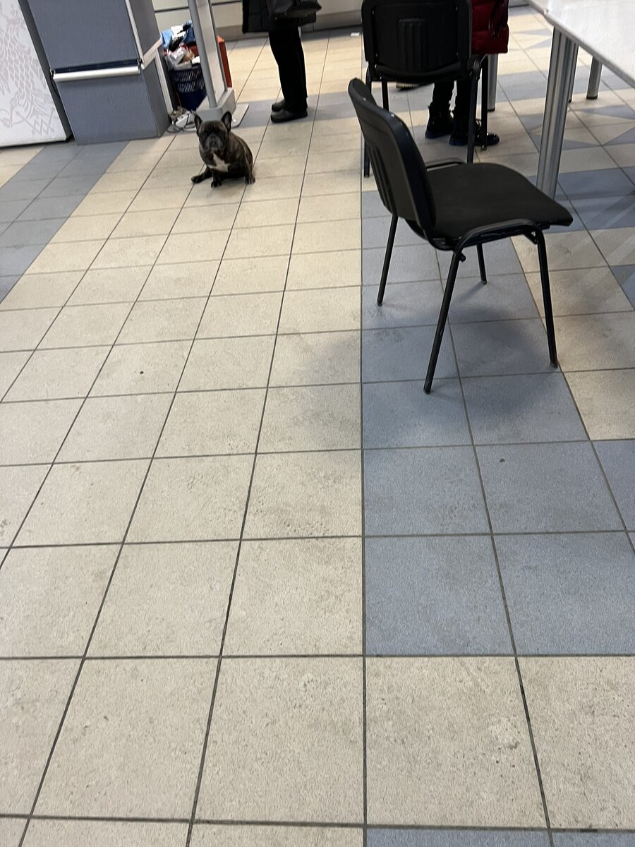 Такая хорошенькая