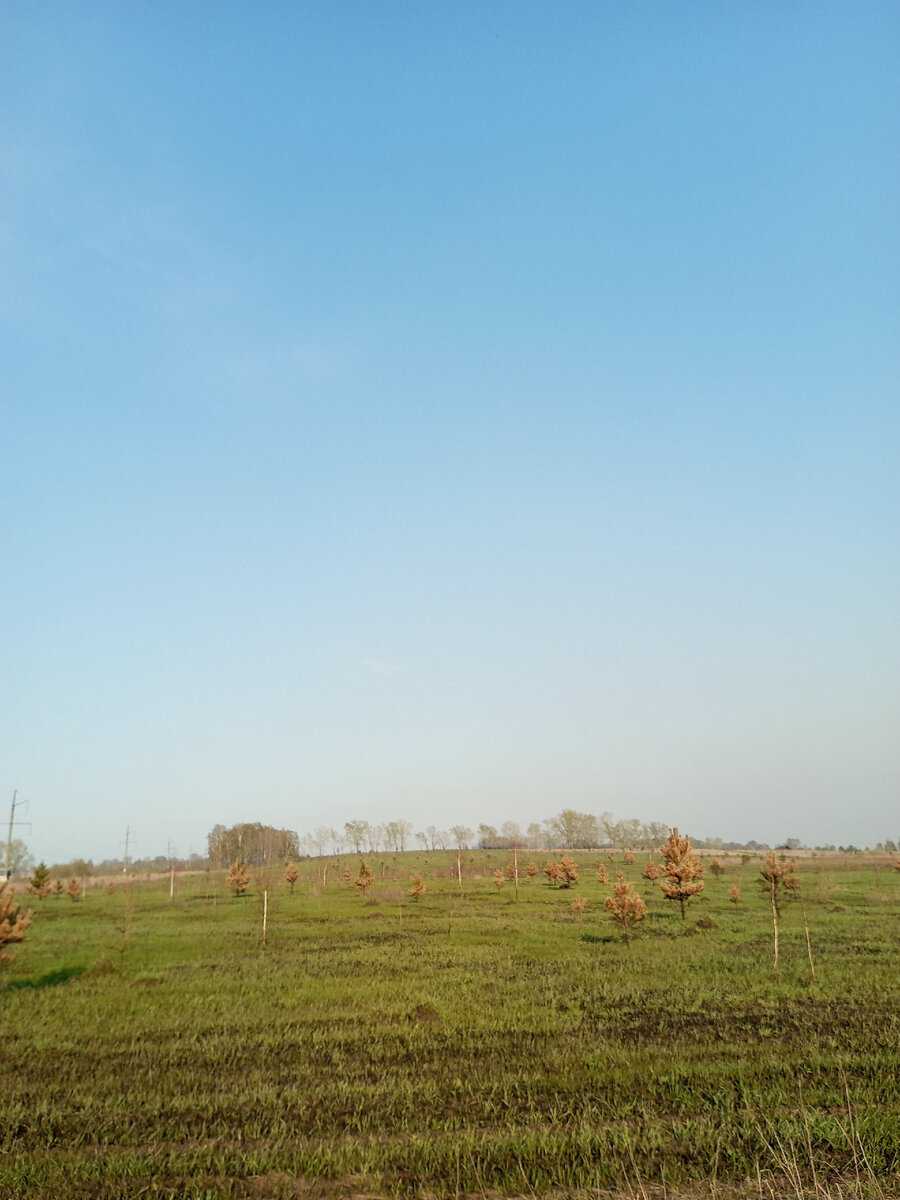 здесь был пожар