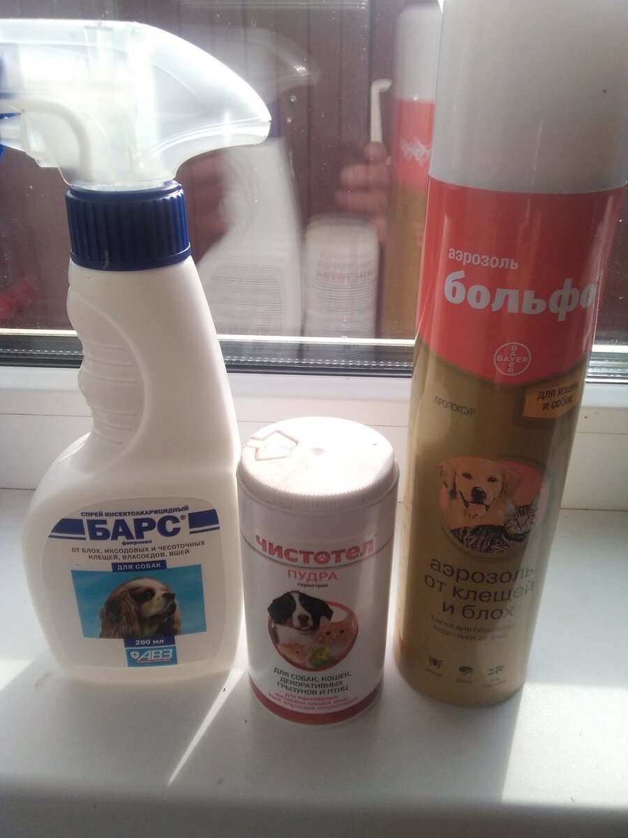 Фото автора. 