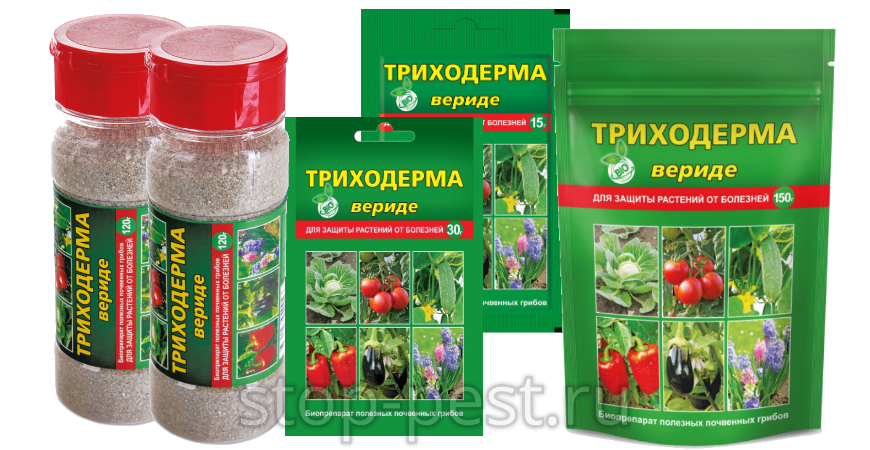 "Триходерма Вериде" (обзор препарата) ... состав, как работает ...