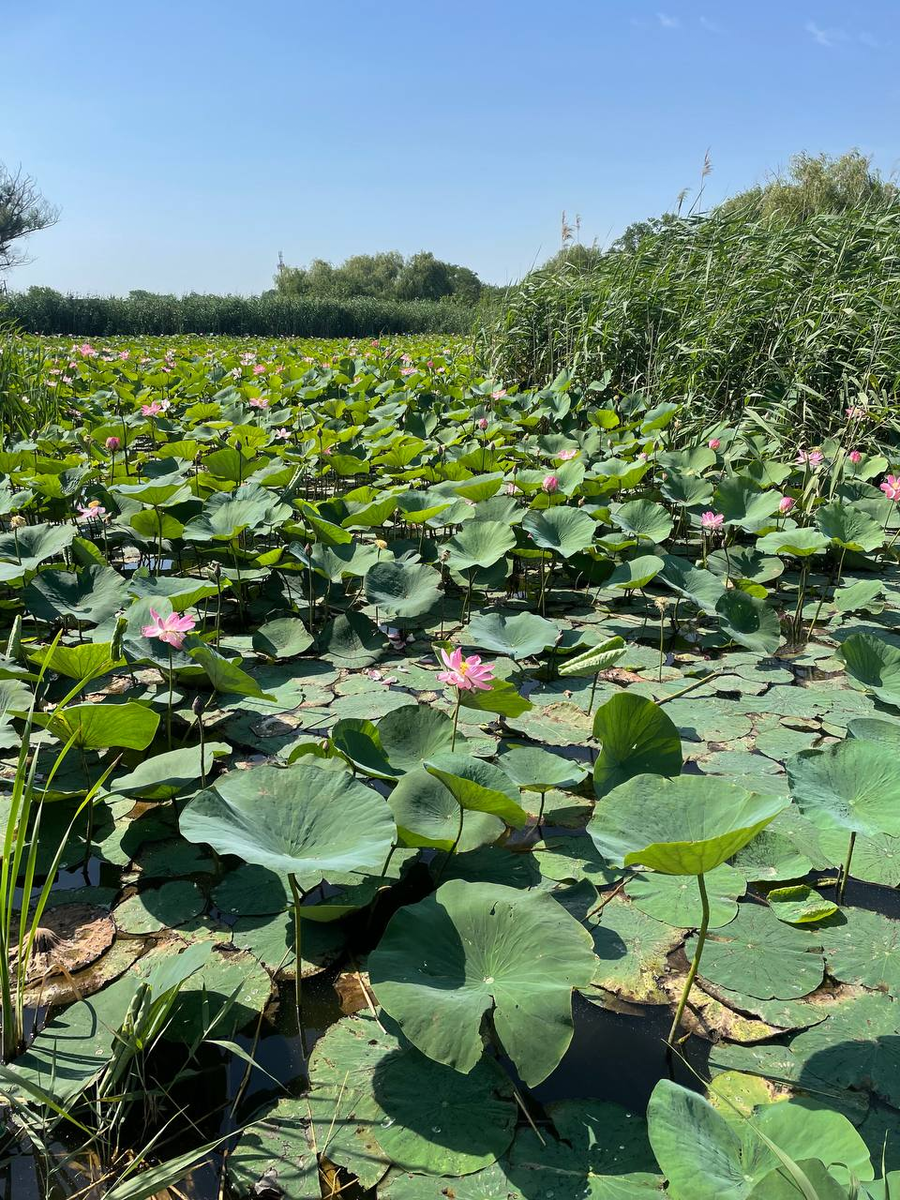 Фото из личного архива